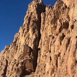 Meet your Posher, Ida